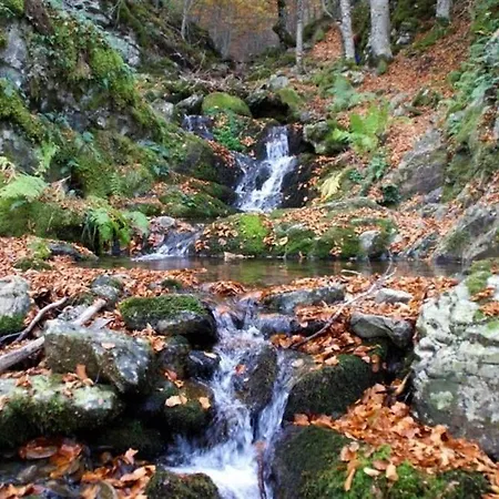 Casa de hóspedes Adela