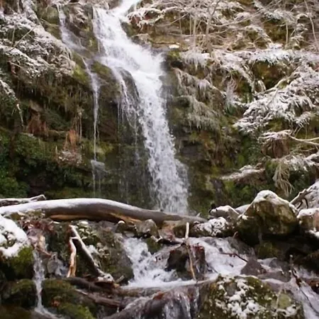 Guest house Adela Pradoluengo