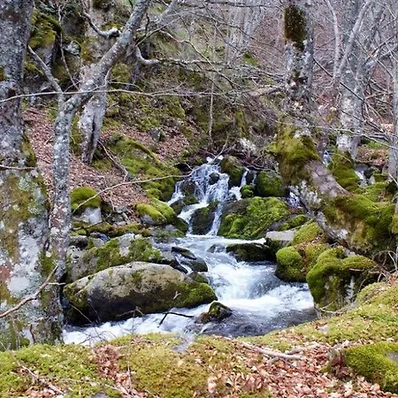 Adela 게스트하우스 Pradoluengo