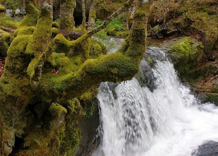 Adela Gasthuis Pradoluengo