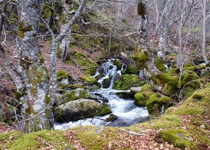 Adela Gasthuis Pradoluengo